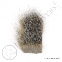 grey-fox-skin-on-fur-lords-of-rivers