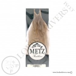 Cou de coq Metz grade 2 Medium Dun