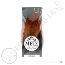 Metz grade 2 rooster neck Brown