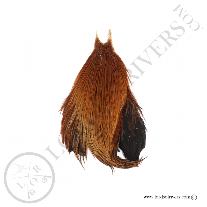 Metz grade 2 rooster neck Brown