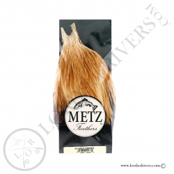 Cou de coq Metz grade 2 Ginger