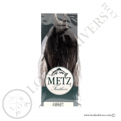 Metz grade 2 rooster neck Dun