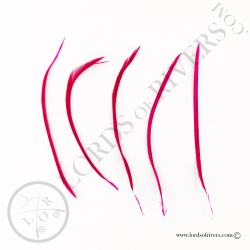 Biots d'oie - 5 plumes Mono couleur Lords of Rivers - Fuchsia