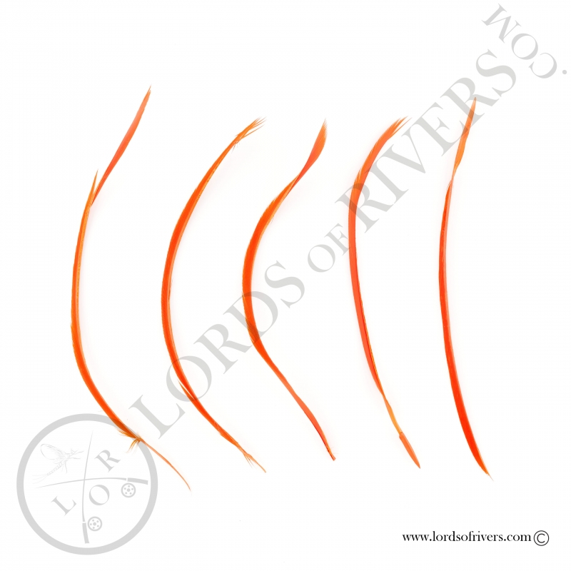 Biots d'oie - 5 plumes Mono couleur Lords of Rivers - Orange