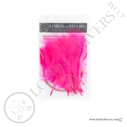 Plumes de marabout Standard Lords of Rivers - 20 plumes - Pink