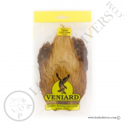 Indian Cock Cape Veniard - Ginger