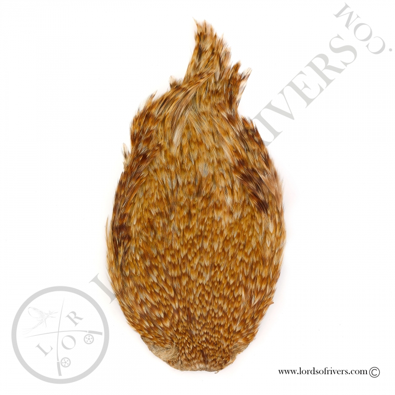 Indian Cock Cape Veniard - Cree Variant Indian Cock Cape Veniard - Cree Variant