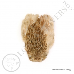 Cou de poule indien Veniard - Ginger