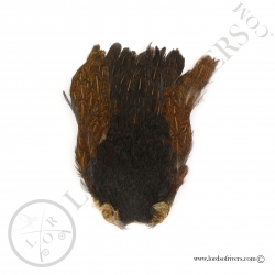 Indian Hen cape Veniard - Dark Brown