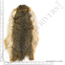 Fox Squirrel skin Veniard