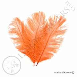 Plumes d'autruche 10/15 cm Lords of Rivers - Orange