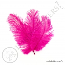 Ostrich feathers 3.94/5.90 in. Lords of Rivers - Pink