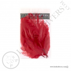 Ostrich feathers 3.94/5.90 in. Lords of Rivers - Red