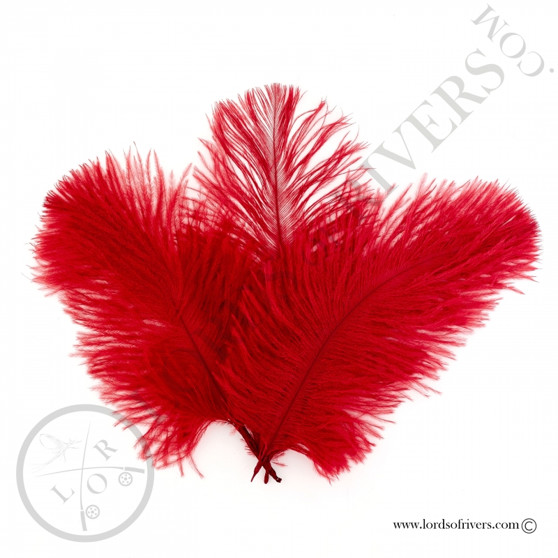 Ostrich feathers 3.94/5.90 in. Lords of Rivers - Red