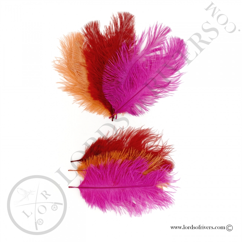 Ostrich feathers 3.94/5.90 in. Lords of Rivers - 3 colors Pack