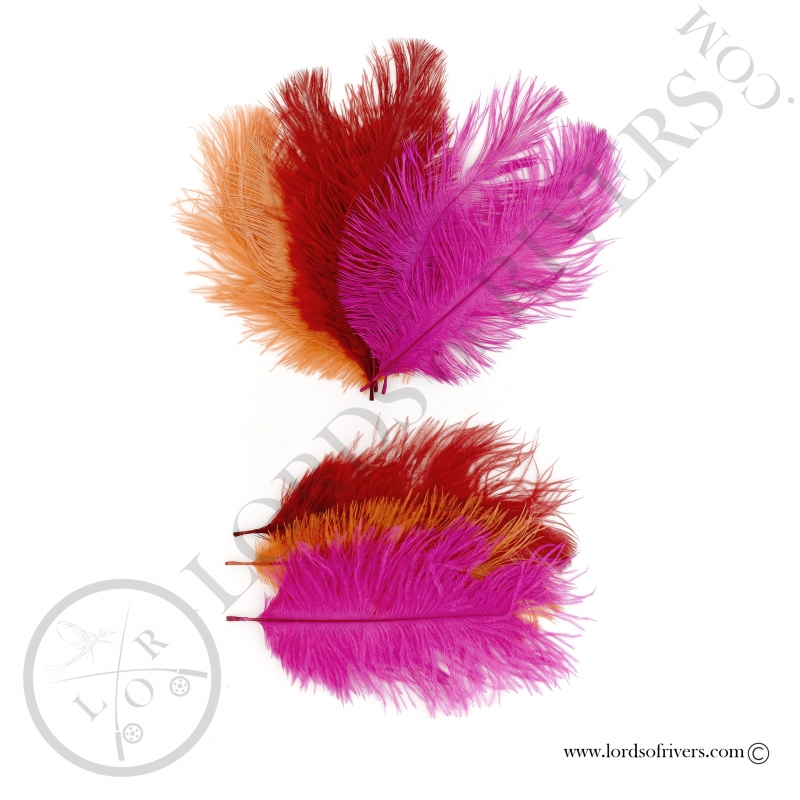 Plumes d'autruche 10/15 cm Lords of Rivers - Pack 3 couleurs Plumes d'autruche 10/15 cm Lords of Rivers - Pack 3 couleurs