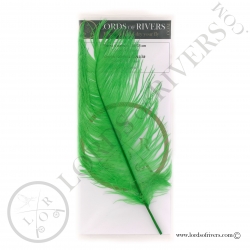 Ostrich feathers 11.8/13.78 in. Lords of Rivers - Fl. green