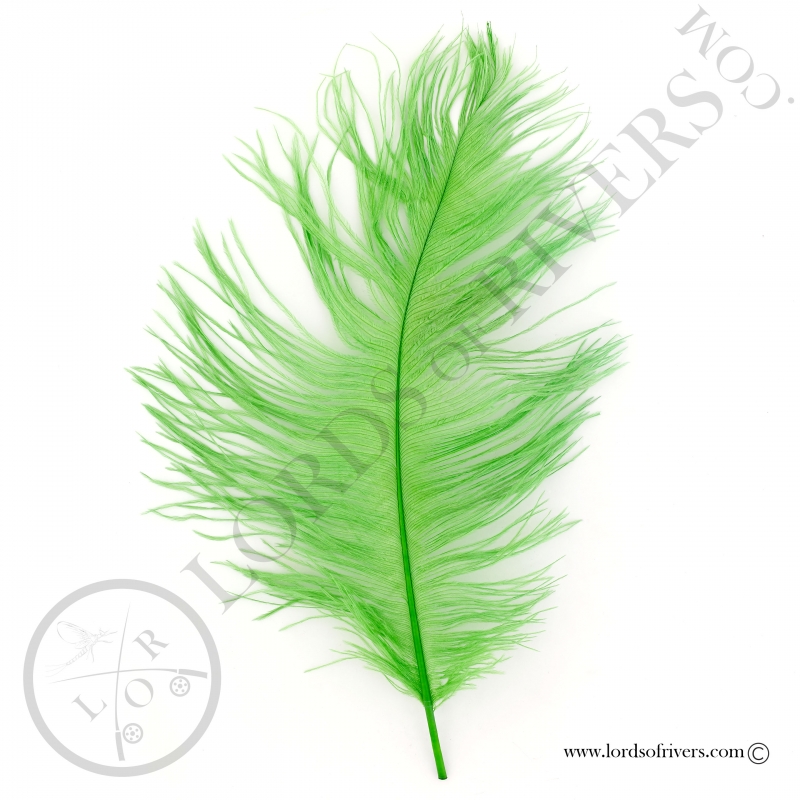 Plumes d'autruche 30/35 cm Lords of Rivers - Fl. green