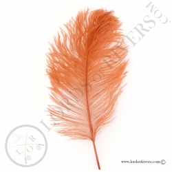 Plumes d'autruche 30/35 cm Lords of Rivers - Fl. orange