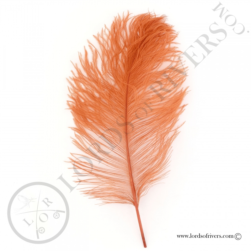 Plumes d'autruche 30/35 cm Lords of Rivers - Fl. orange