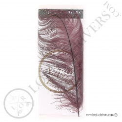 Ostrich feathers 11.8/13.78 in. Lords of Rivers - Medium Brown
