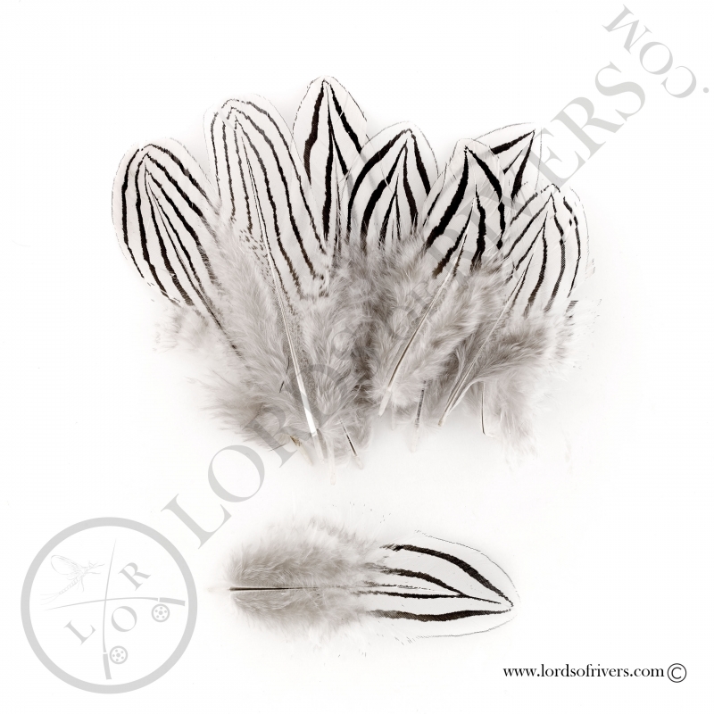 Silver pheasant body feathers Lords of Rivers