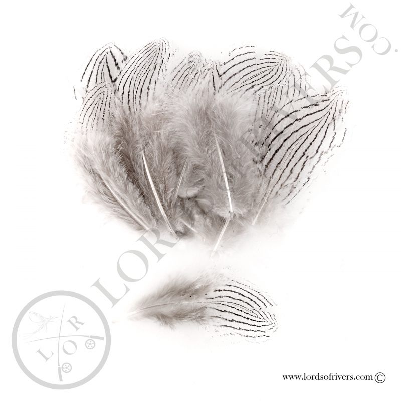 Hareline Silver Pheasant Body Feathers - Natural