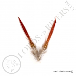 Golden Pheasant Sword Spikes Lords of Rivers