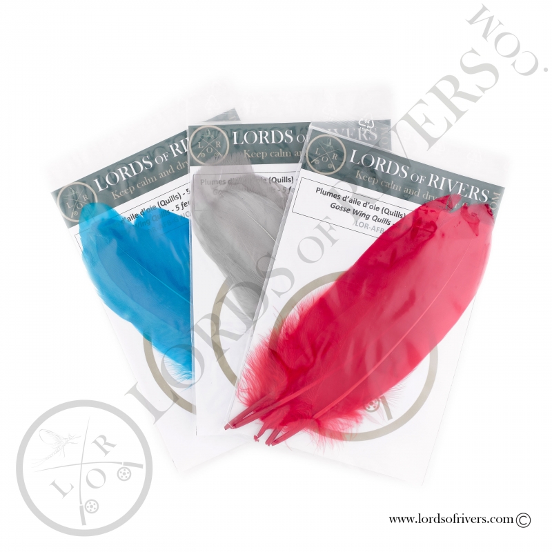 Lot de 50 plumes de dinde de 12,7 cm pour tir à l'arc DIY Tir à l'arc (aile droite