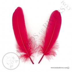 Gosse Wing Quills - Lords of Rivers - 2 red feathers