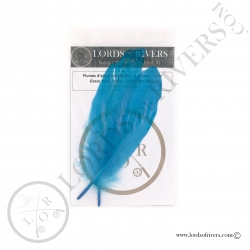 Gosse Wing Quills - Lords of Rivers - 2 blue feathers