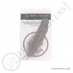 Gosse Wing Quills - Lords of Rivers - 2 natural grey feathers
