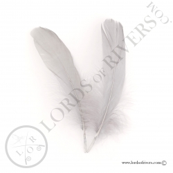 Gosse Wing Quills - Lords of Rivers - 2 natural grey feathers