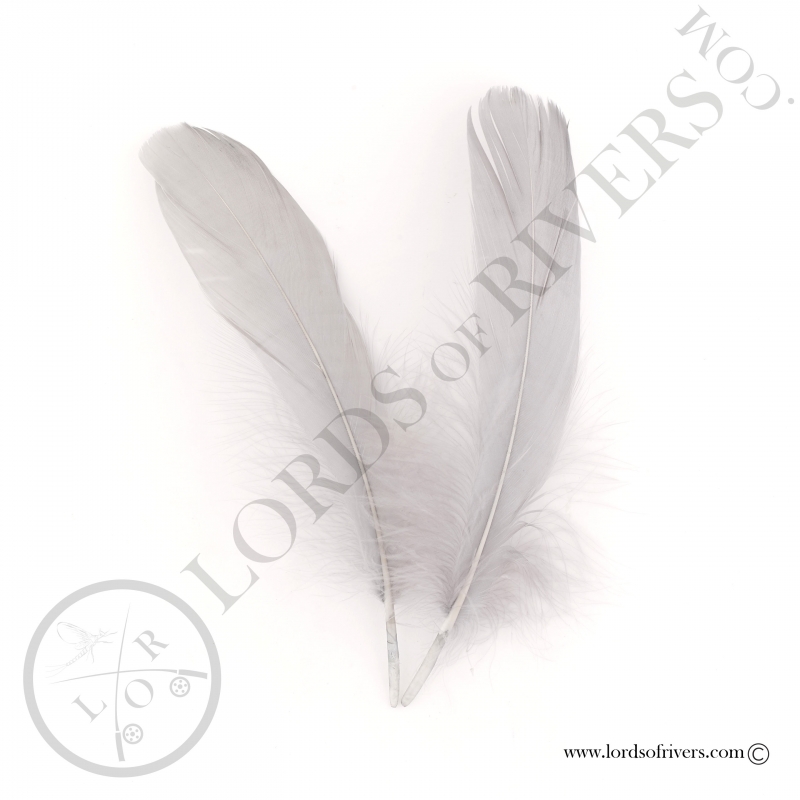 Gosse Wing Quills - Lords of Rivers - 2 natural grey feathers