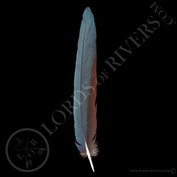 ara-a-ailes-vertes-plume-d-ailes-type-1-