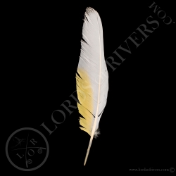 white-cockatoo-wing-cover-type-1-lords-o