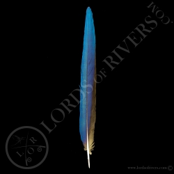 blue-amp-gold-macaw-side-tail-lords-of-r