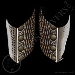 faisan-argus-quot-secondary-wing-quot-3-