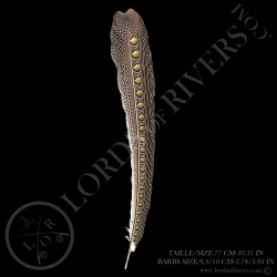 argus-pheasant-secondary-wing-lords-of-r