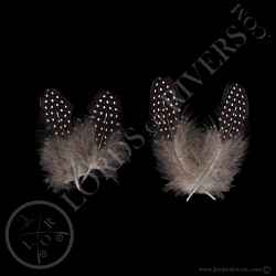 vulturine-guineafowl-lilac-body-feather-