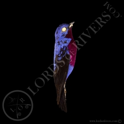 purple-breasted-cotinga-full-skin-lords-