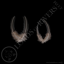 vulturine-guineafowl-paired-back-elvers-