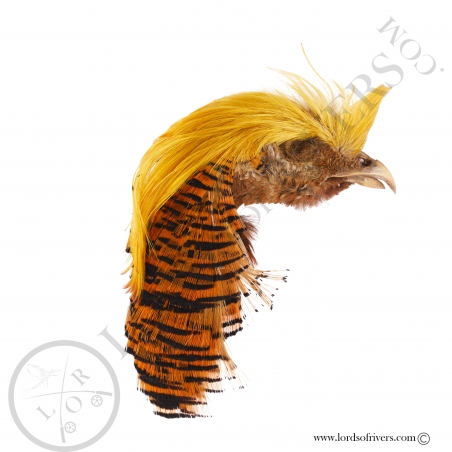 Golden pheasant Complete Head Crest/Tippet feathers Lords of Rivers