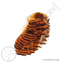 golden-pheasant-whole-tippets-feathers-l