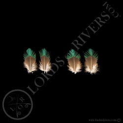 quetzal-resplendissant-set-de-2-paires-d