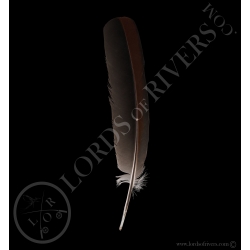 grey-crowned-african-crane-wing-cover-ty