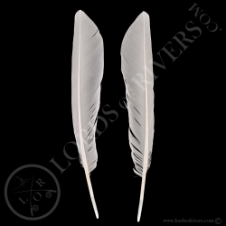 grue-du-japon-paire-de-plumes-wing-cover