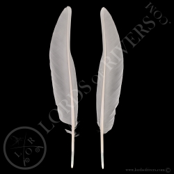 grue-du-japon-paire-de-plumes-wing-cover