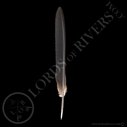 red-crowned-crane-black-wing-cover-feath