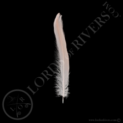 american-flamingo-elvers-body-feathers-l